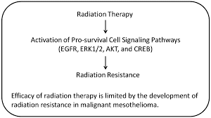 We did not find results for: Malignant Mesothelioma Cell Survival Pathways And Radiation Therapy Bentham Science