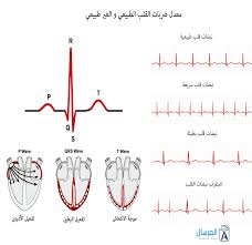جدول دقات القلب حسب العمر المرسال