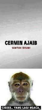 Ular itu disebut mati terpanggang karena kebakaran hutan di wilayah. Pin Oleh Arin Di Meme Di 2021