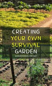 Creating Your Own Survival Garden Survival Gardening Recycled Garden Projects Recycled Garden