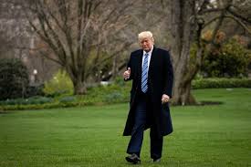 Secret sessions lisa 23, mona lisa, marge simpson outfits, lisa secret 037 sessions, secret sessions. Who Are The Voters Behind Trump S Higher Approval Rating The New York Times