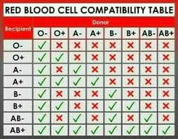 Check spelling or type a new query. Why Are The People With The Blood Groups O And A B Are Called The Universal Donor And Recipient Brainly In