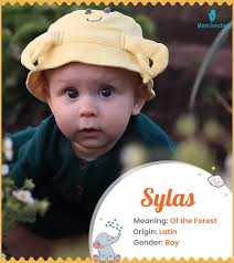Silas Name Meaning, Origin, History, And Popularity