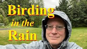 Birding in the Rain: Tips & Tricks