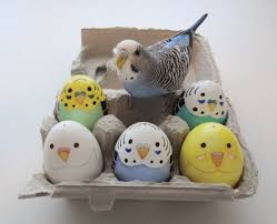Super Cute Easter Eggs Muhabbet Kuslari Kus Paskalya