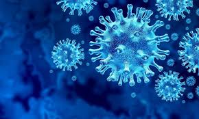 Ecuația de gradul doi se numește și ecuație pătratică. PurtÄƒtorul De Cuvant Al Patriarhiei Contaminat Cu O Zi Inainte De Rapel