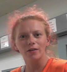 Police roundup: Woman charged in Ona stabbing