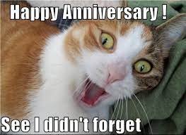 Cat memes are always in style. 50 Funny Anniversary Memes Gif S And Images The Random Vibez
