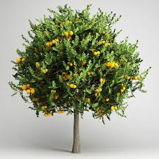 Orange Tree 20 3d Model Orange Tree Tree Recycled Bottle