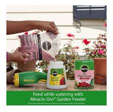 Maybe you would like to learn more about one of these? Miracle Gro Water Soluble Rose Plant Food 1 5 Lb Shopee Philippines