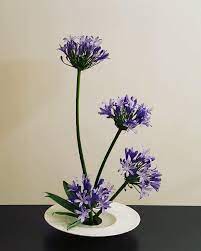 Pin On Ikebana