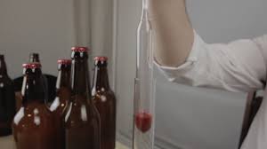 Beer is one of the oldest and most widely consumed alcoholic drinks in the world, and the third most popular drink overall after water and tea. Young Brewer Wearing White Coat Checks Amount Sugar Light Beer Video By C Vlmediauhd Stock Footage 428701152