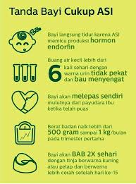 Mereka yang ingin menaikkan berat badan biasanya adalah mereka yang merasa dirinya terlalu kurus. Meningkatkan Berat Badan Bayi Asi Kriwilife
