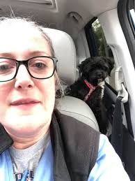 Shipt shopper in New Haven, CT