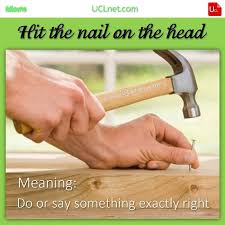 Idiom 246 Hit The Nail On The Head Meaning Doing Or Saying Something Exactly Right Click On The Photo To Read Mor Idioms English Idioms Online Learning