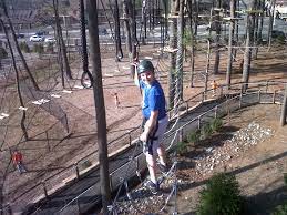 Turtle Back Zoo Tree Top Aerial Adventure Course Tree Tops Aerial Adventure