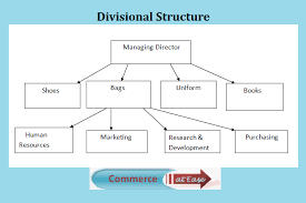 functional and divisional organisation structure