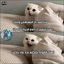 Pin By Haboosh Ahmad On Memes Funny Science Jokes Fun Quotes Funny Dora Funny