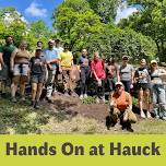 Hands On at Hauck