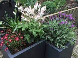 Balkonkästen bepflanzen tipps garten mix. Vom Richtigen Eintopfen Wie Man Neue Erde Einspart Und Naturdunger Muhvie De Garten Balkon Genuss