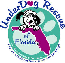 Helped to rescue and find homes for the five abandoned pups in pensacola. Pets For Adoption At Underdog Rescue Of Florida In Bradenton Fl Petfinder