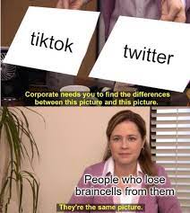 Tiktok And Twitter Honestly Makes Me Lose Brain Cells : R/Memes