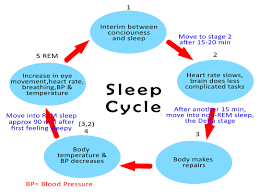 stages of sleep söva8 hologram sleep aid technology