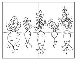 Dead leaves the dirty ground by mullduggery on deviantart. How To Draw Vegetables Art Projects For Kids
