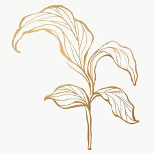 Shop by subject, style, room, best sellers & more. Backdrop Line Art Flowers Gold Wallpaper Background Leaf Art