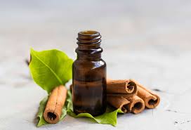 Diffuser essential oil aromatherapy essential oil organic essential oils vanilla essential oil oil essential lavender essential oil clove essential oil redefine your aromatherapy experience with the premium. Which Oils Do Cinnamon Essential Oil Blend Well With Cinnamon Food