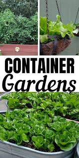 Grow Food On Your Patio With Container Vegetable Gardening In 2020 Container Gardening Vegetables Vegetable Garden For Beginners Container Vegetables