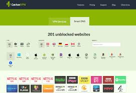 Cactusvpn free download for windows pc. Cactusvpn Smart Dns Reviews Smart Dns Reviews
