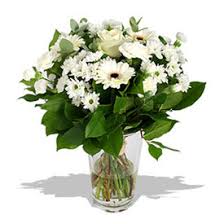 Rural areas in italy's beloved wine country are particularly beautiful in the fall when the year's harvest is taking place, usually in october and november. Daisies Delivery In Milan Flowers Milan Florist Premium Florist World