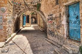 �����:37 ����� ���� ������ ���� �������� ������ �������! - ���� �����