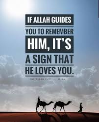 Pin By Fatima Alam On Islamic Images And Duas Islamic Quotes Muslim Quotes Funny Quotes
