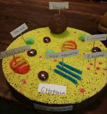 Maybe you would like to learn more about one of these? 3d Animal Cell Model Made For A School Project Animal Cell Project Animal Cell Model Project Cells Project