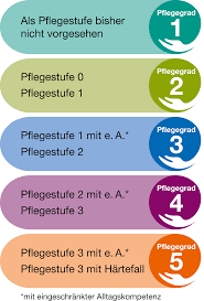 Versicherte mit einer pflegestufe wurden 2017 automatisch in den entsprechenden pflegegrad übernommen. Pflegegrade Leistungen Anspruche Kennen Meinpflegeset