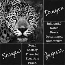 8 years ago8 years ago. Scorpio Jaguar Spirit