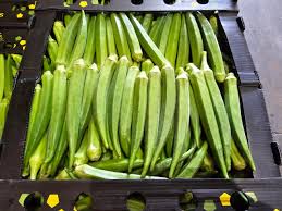 Okro Half Box