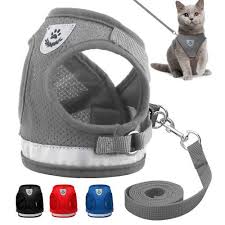 Kedi Elbisesi Kedi Kiyafetleri Gittigidiyor