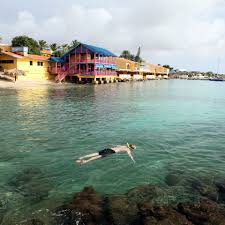 Klm Reisgids Snorkelen Op Bonaire