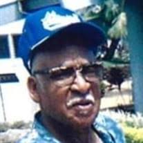 Mr. T. Louis Bates Obituary (2024)