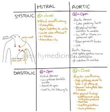It's easy to fear the worst when your doctor tells you that he hears a murmur in your. Systolic Vs Diastolic Heart Murmurs Nurse Nursing School Notes Nursing School Studying