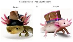 Image result for http://i.imgur.com/9sBdVpV.jpg