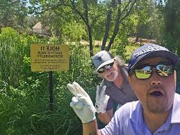 Whats up everyone! I have a taylormade qi35 9 degree core still in new  condition, only played a few rounds. Comes with head cover Shaft: (Choose  one) Venus Fujikura 5-R or HZRDUS