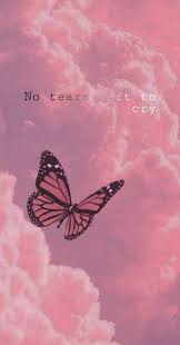 Maybe you would like to learn more about one of these? Cute Butterflyy Wallpaper Butterfly Wallpaper Iphone Butterfly Wallpaper Iphone Wallpaper Girly