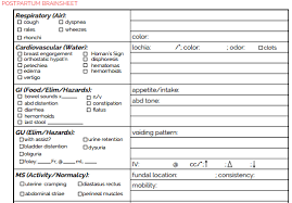 The Ultimate Nursing Brain Sheet Database 33 Nurse Report