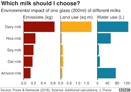 Plant Based Milks On The Rise A Quarter Of Britons Are