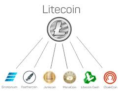 So, you've converted 1 bitcoin to 202.494325 litecoin. An Overview Of Litecoin Forks If You Have Been Around The Bitcoin And By Vertex Marketplace Medium