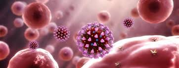 The us food and drug administration (fda). Covid 19 Teste Da Universidade De Oxford Que Descartou Azitromicina Agora Avalia Ivermectina Contra Coronavirus